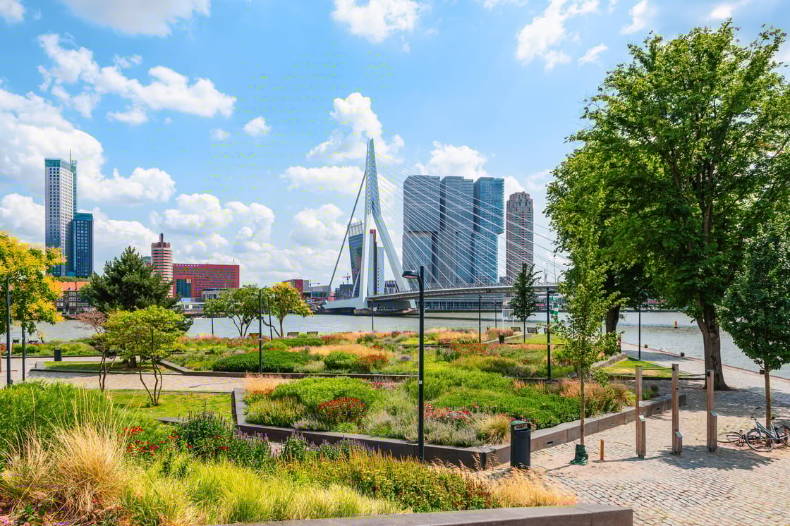 Header image newsletter on PCMA 