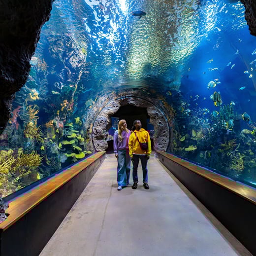 2560_Diergaarde-Blijdorp-Oceanium